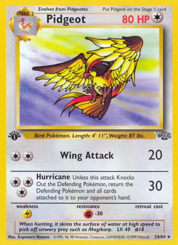 Pidgeot 24/64 from Jungle