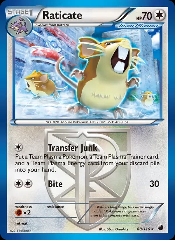 Raticate 88/116 from Plasma Freeze