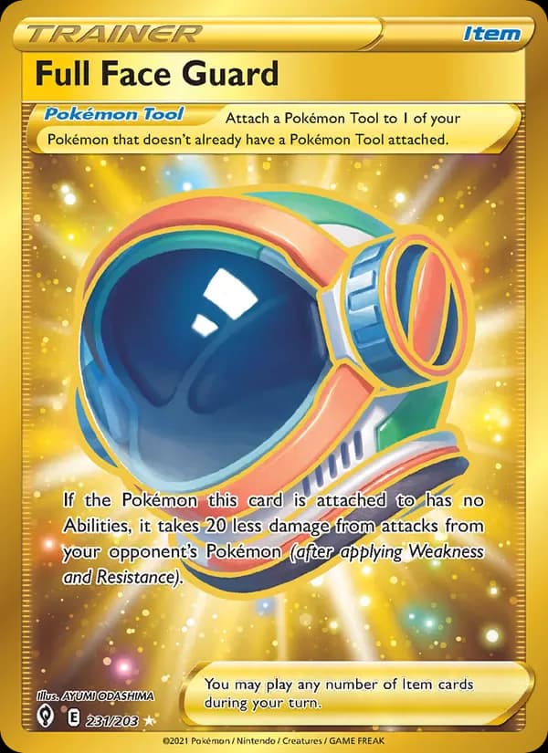 Full Face Guard 231/203 from Evolving Skies