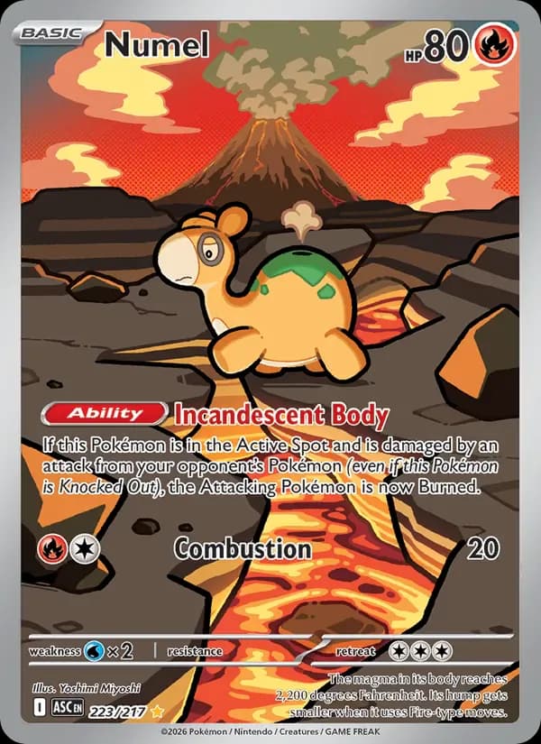 Numel 223/217 from Ascended Heroes