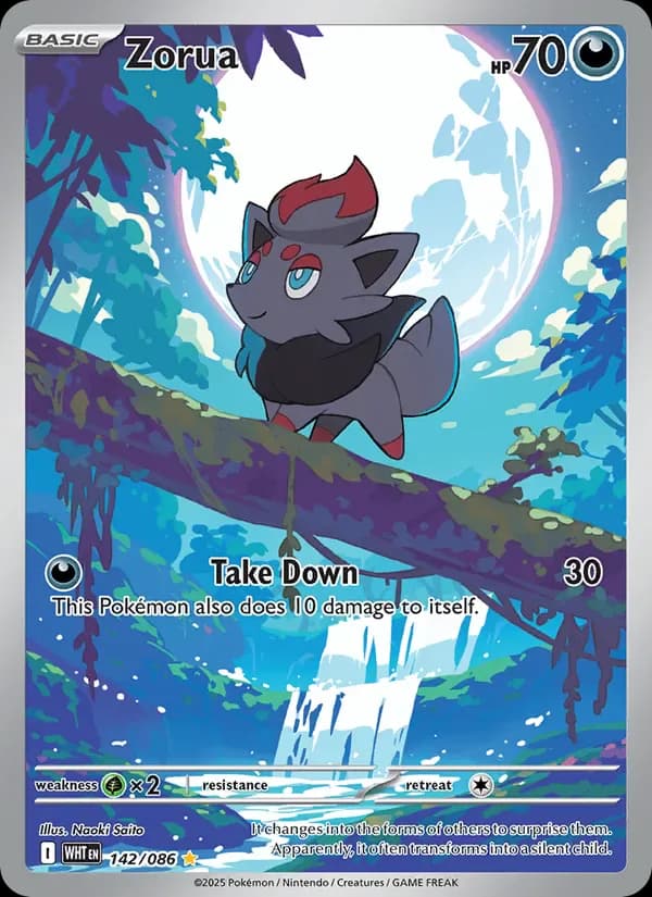 Zorua 142/86 from White Flare