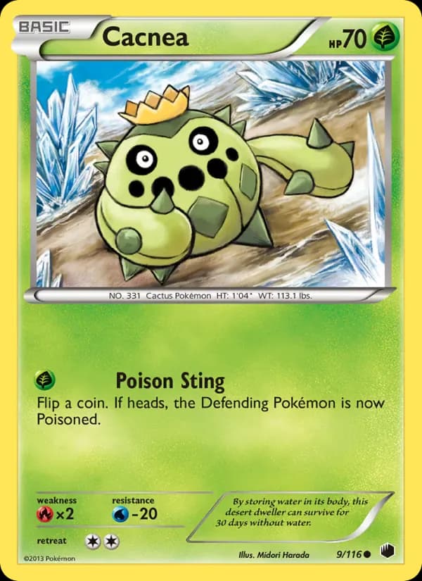 Cacnea 9/116 from Plasma Freeze