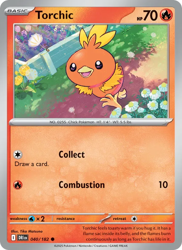 Torchic 040/182 from Destined Rivals